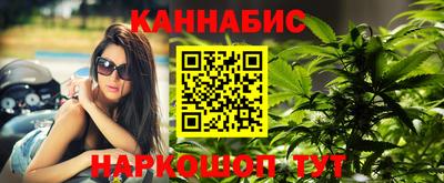 mdpv Новозыбков